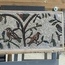 Les Oiseaux de la maison d'Orphée à Volubilis , cité antique 